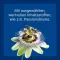 NUREXAN ad us.vet.tablets, 500 gab