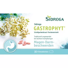 SIDROGA GastroPhyt 250 mg apvalkotās tabletes, 30 gab