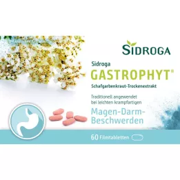 SIDROGA GastroPhyt 250 mg apvalkotās tabletes, 60 gab