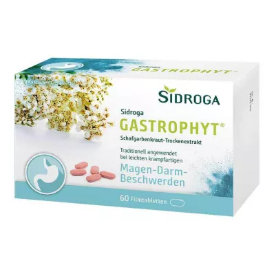 SIDROGA GastroPhyt 250 mg apvalkotās tabletes, 60 gab SIDROGA GastroPhyt 250 mg apvalkotās tabletes, 60 gab