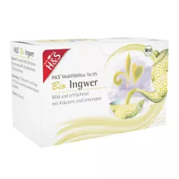 H&amp;S Organiskais ingvera filtrēšanas maisiņš, 20X2 g