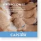 CAPSTAR 11,4 mg tabletes kaķiem/maziem suņiem, 1 gab