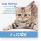 CAPSTAR 11,4 mg tabletes kaķiem/maziem suņiem, 1 gab