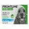 FRONTLINE Combo Spot on Dog M Lsg.z.Auf.a.Haut, 3 gab