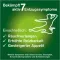 Instructions for use for nicorette košļājamā gumija freshmint, 2 mg nikotīna, 210 gab - 4