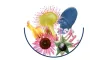 Instructions for use for METAGLOBIFLU Aukstuma globules, 10 g - 2