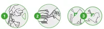 Instructions for use for FRONTLINE COMBO SPOT ON Kaķis, 6 gab - 5