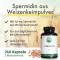 GREEN NATURALS Spermidīns 1,6 mg vegāniskās kapsulas, 240 gab