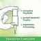 OCUVERS pilieni Relief acu pilieni, 10 ml