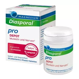 MAGNESIUM DIASPORAL pro B-Vit.DEPOT Musk.+Nerv.Tab, 30 gab