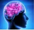 Instructions for use for NEUROPEP Kapsulas, 30 gab - 2