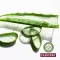 PLANTANA Aloe vera kopjoša dušas želeja ar organisko alveju, 500 ml