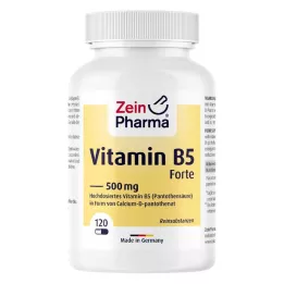 VITAMIN B5 PANTOTHENSÄURE 500 mg kapsulas, 120 kapsulas